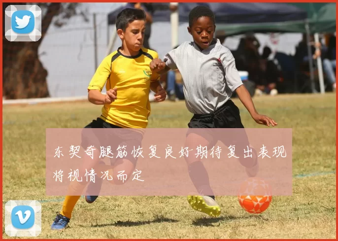 东契奇腿筋恢复良好期待复出表现将视情况而定
