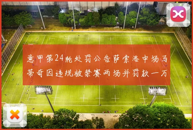 意甲第24轮处罚公告萨索洛中场马蒂奇因违规被禁赛两场并罚款一万欧元