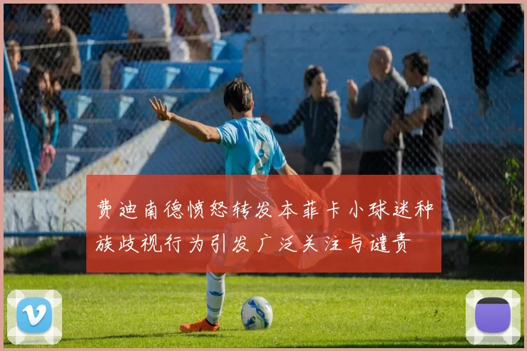 费迪南德愤怒转发本菲卡小球迷种族歧视行为引发广泛关注与谴责
